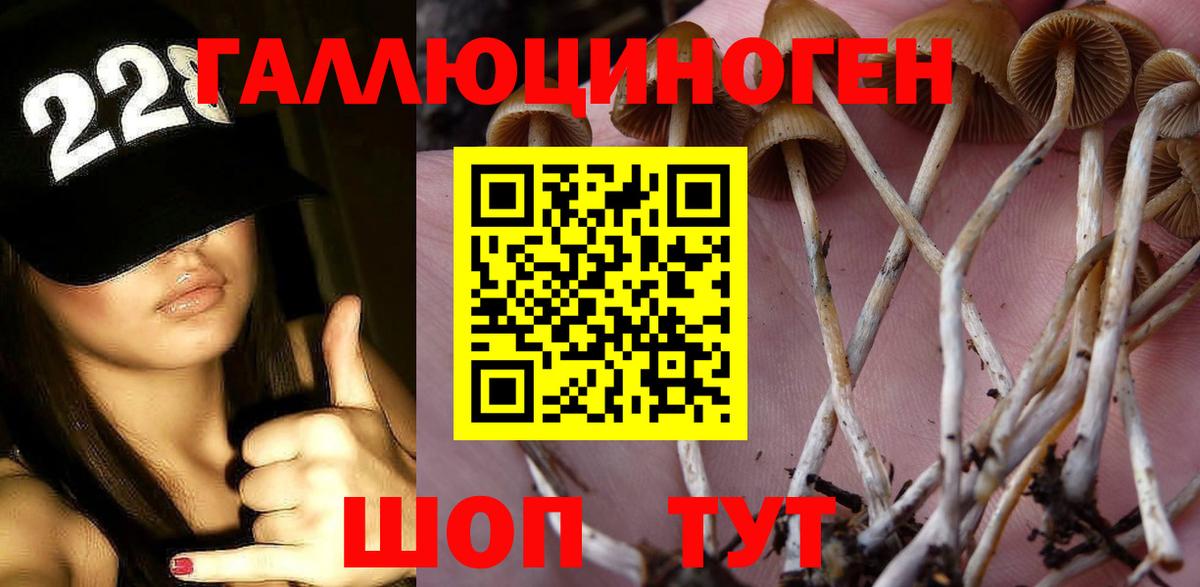 Псилоцибиновые грибы Magic Shrooms Егорьевск
